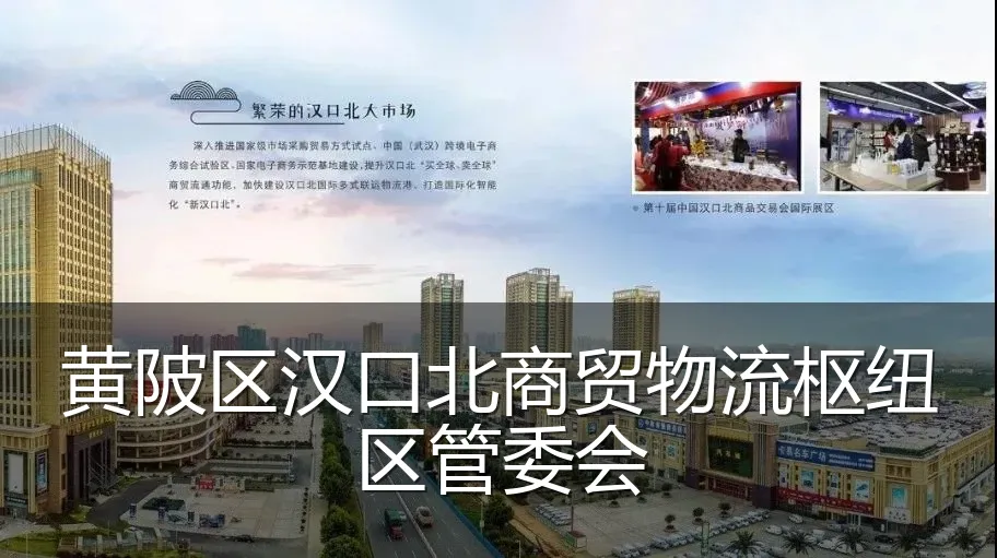 黄陂区汉口北商贸物流枢纽区管委会