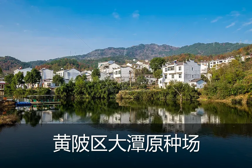黄陂区大潭原种场