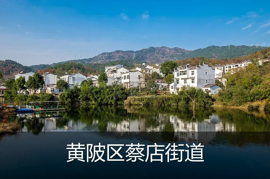黄陂区蔡店街道