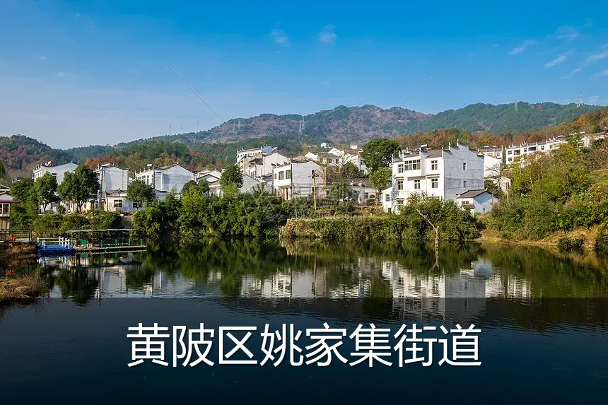 黄陂区姚家集街道