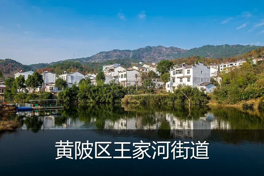 黄陂区王家河街道