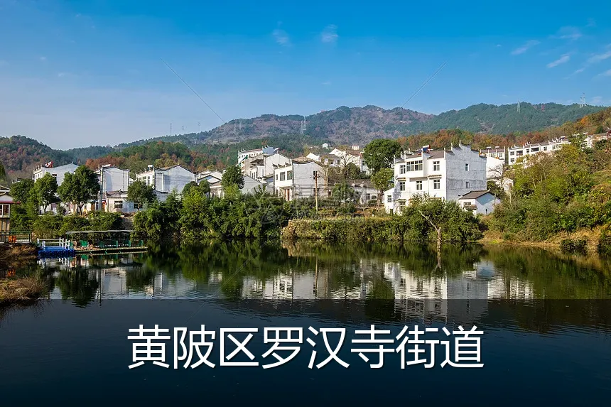 黄陂区罗汉寺街道
