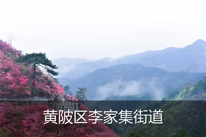 黄陂区李家集街道